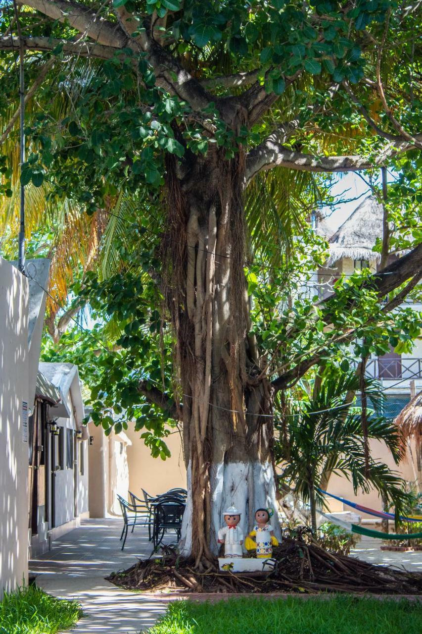 Popol Vuh (adults Only) Playa del Carmen
